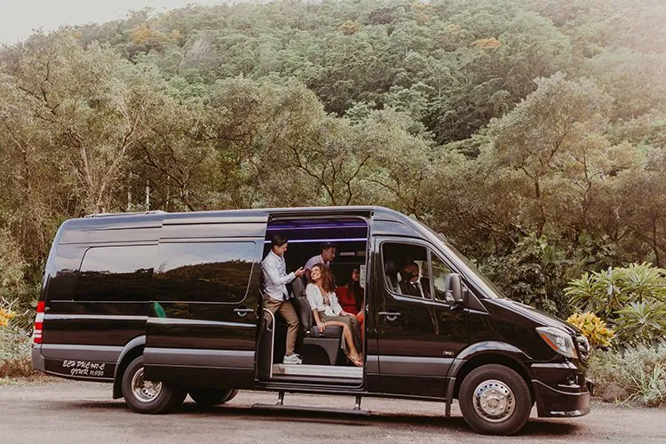 Executive Chauffeur Hawai'i photo 6