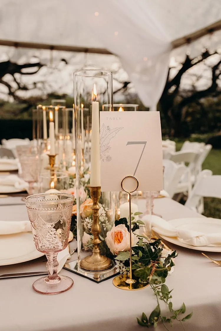 Tropical Moon Events photo 4