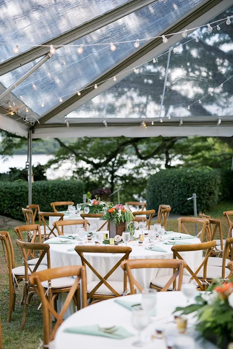 Tropical Moon Events photo 6