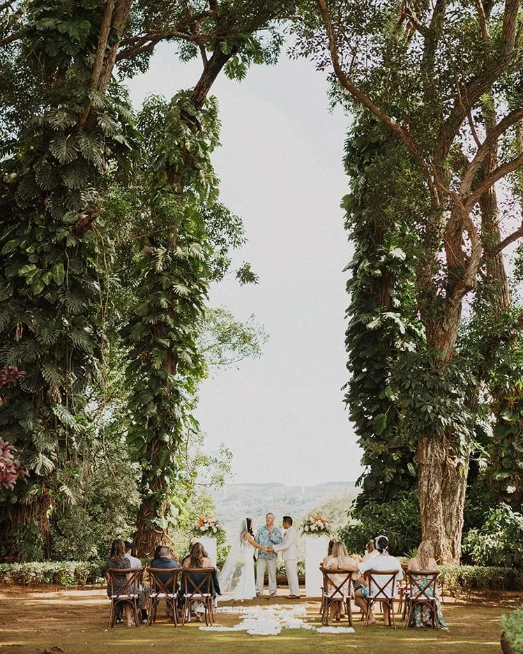 Tropical Moon Events photo 5