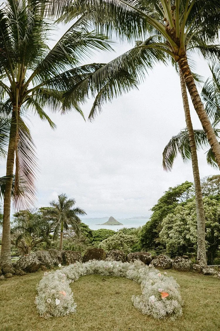 Tropical Moon Events photo 7